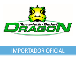 Dragon Terraristik